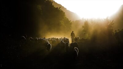 Tarım ve Orman Bakanı İbrahim Yumaklı, IPARD II kapsamında hayvancılık