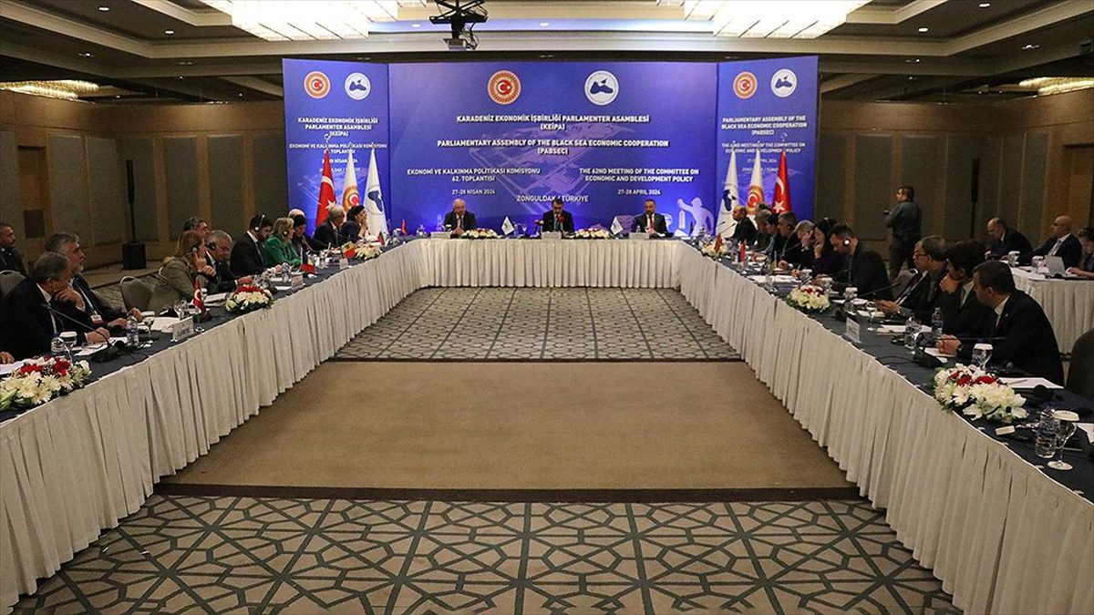 Karadeniz Ekonomik İşbirliği Parlamenter Asamblesi (KEİPA) Ekonomi ve Kalkınma Politikası