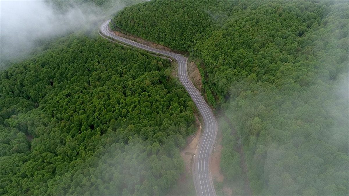 Trakya'nın Karadeniz kıyılarındaki, meşe ve çam ağaçlarıyla örtülü Yıldız Dağları'nda