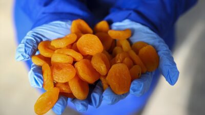 Türkiye'nin Avrupa Birliği'nde coğrafi tescilli ürünlerinden olan Malatya kayısısından yılın