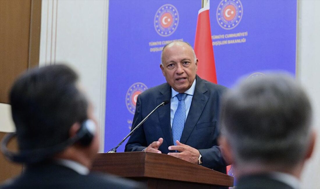 Mısır Dışişleri Bakanı Samih Şukri, İran ile İsrail arasındaki karşılıklı