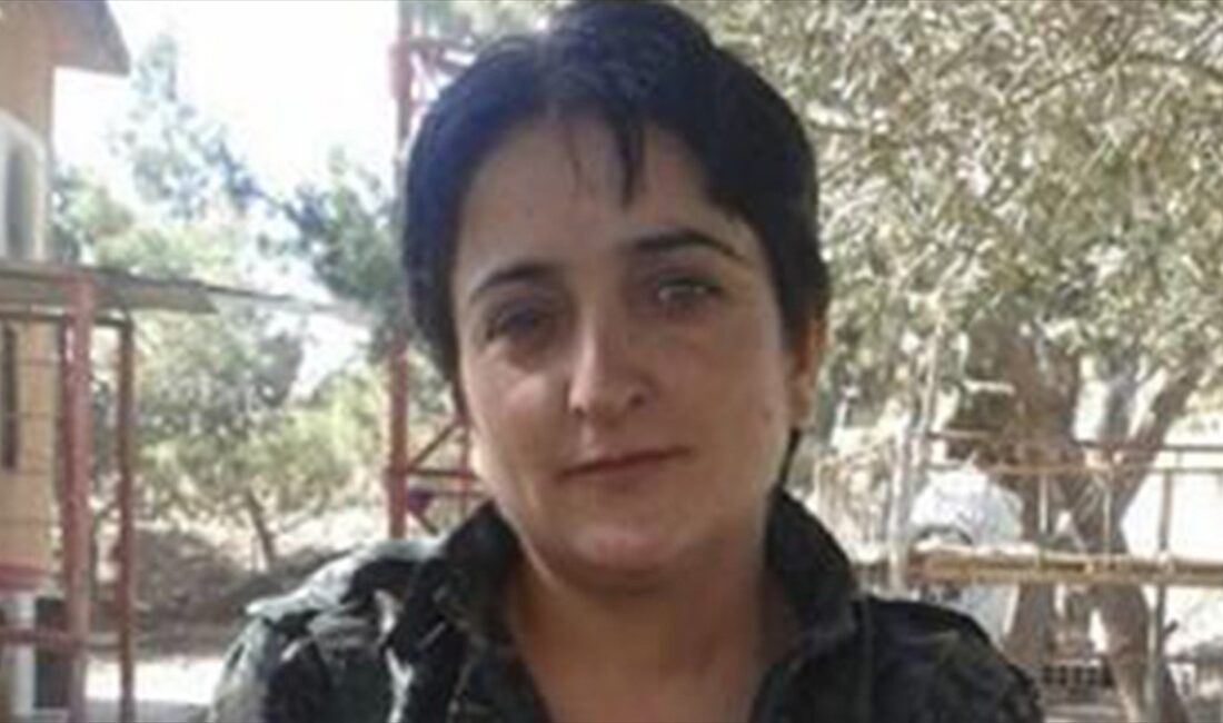 Milli İstihbarat Teşkilatı (MİT), terör örgütü PKK/YPG-YPJ'nin sözde sorumlusu Vahide