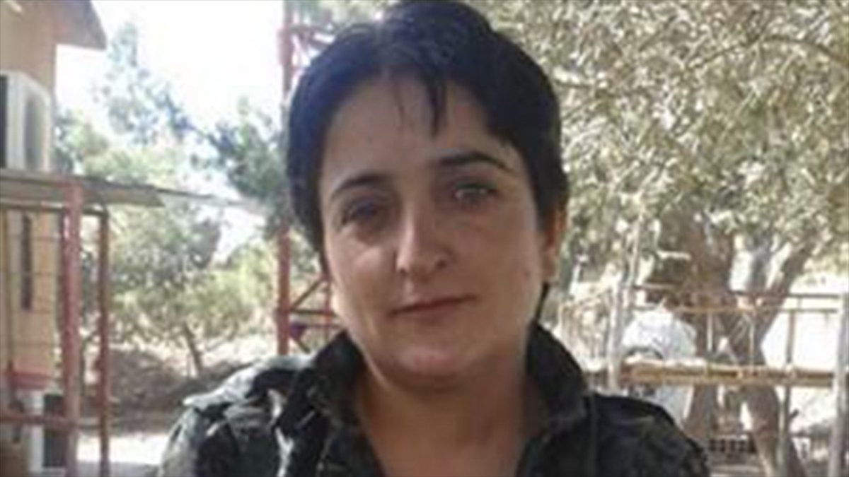 Milli İstihbarat Teşkilatı (MİT), terör örgütü PKK/YPG-YPJ'nin sözde sorumlusu Vahide