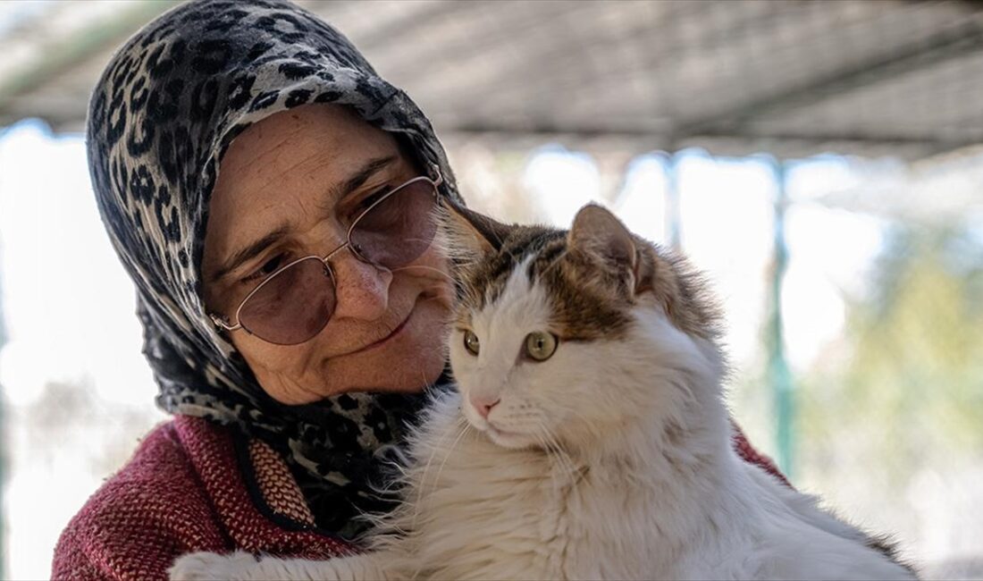 Ankara'nın Kahramankazan ilçesinde yaşayan 65 yaşındaki Nurhan Canatar, evinin giriş