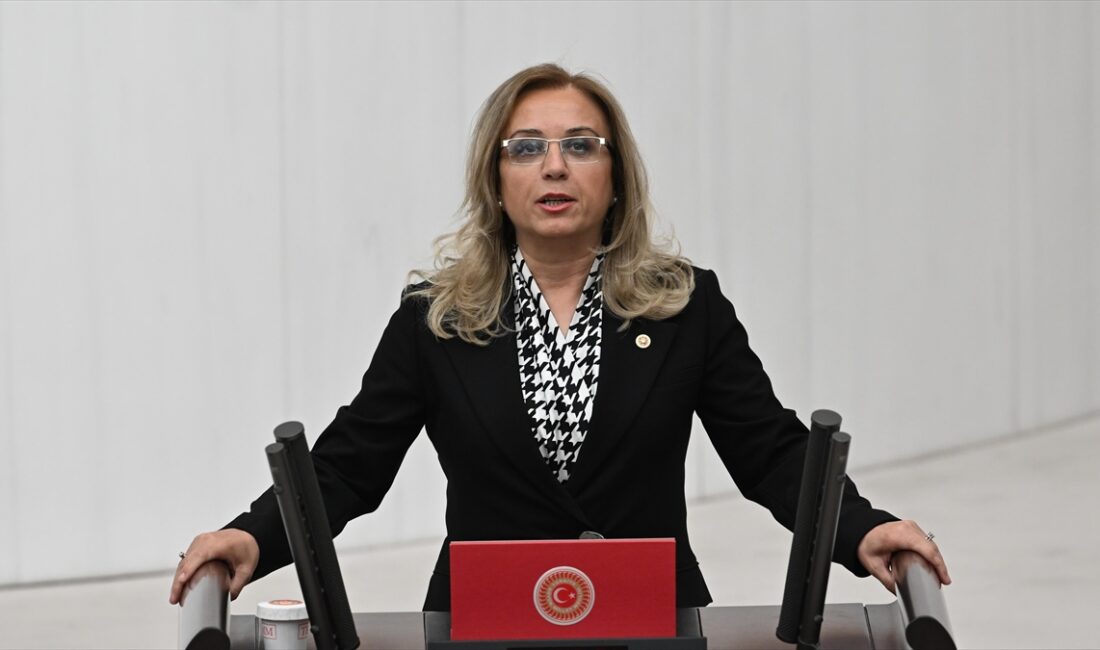 MHP Nevşehir Milletvekili Filiz Kılıç, partisinin yeni TBMM Grup Başkanvekili