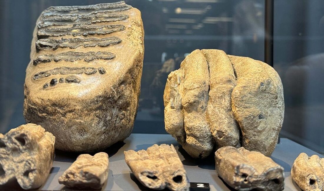 Samsun'un Ladik ilçesinde eski bir maden ocağında 14 yıl önce