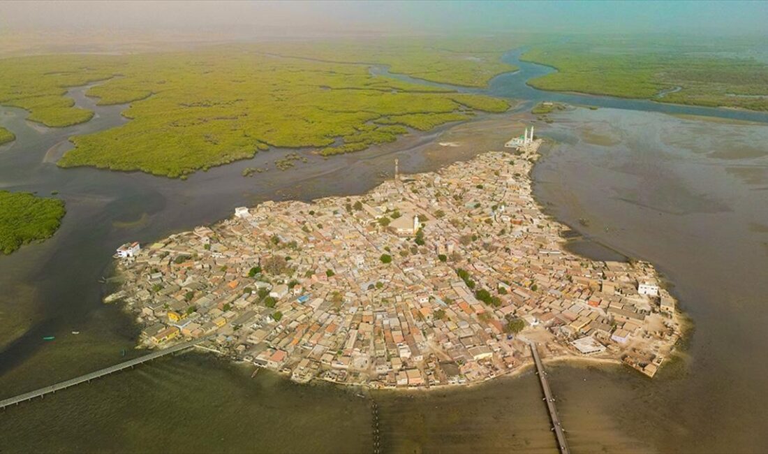 Senegal'in güneybatısında yer alan ve kum midyesi kabuklarından oluşan "deniz