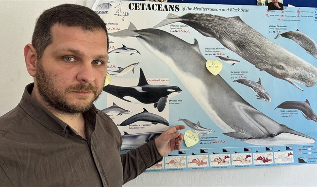 Dr. Öğr. Üyesi Uğur Özsandıkçı, "Gerze ile Ayancık arasında ne