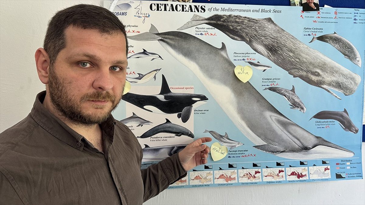 Dr. Öğr. Üyesi Uğur Özsandıkçı, "Gerze ile Ayancık arasında ne