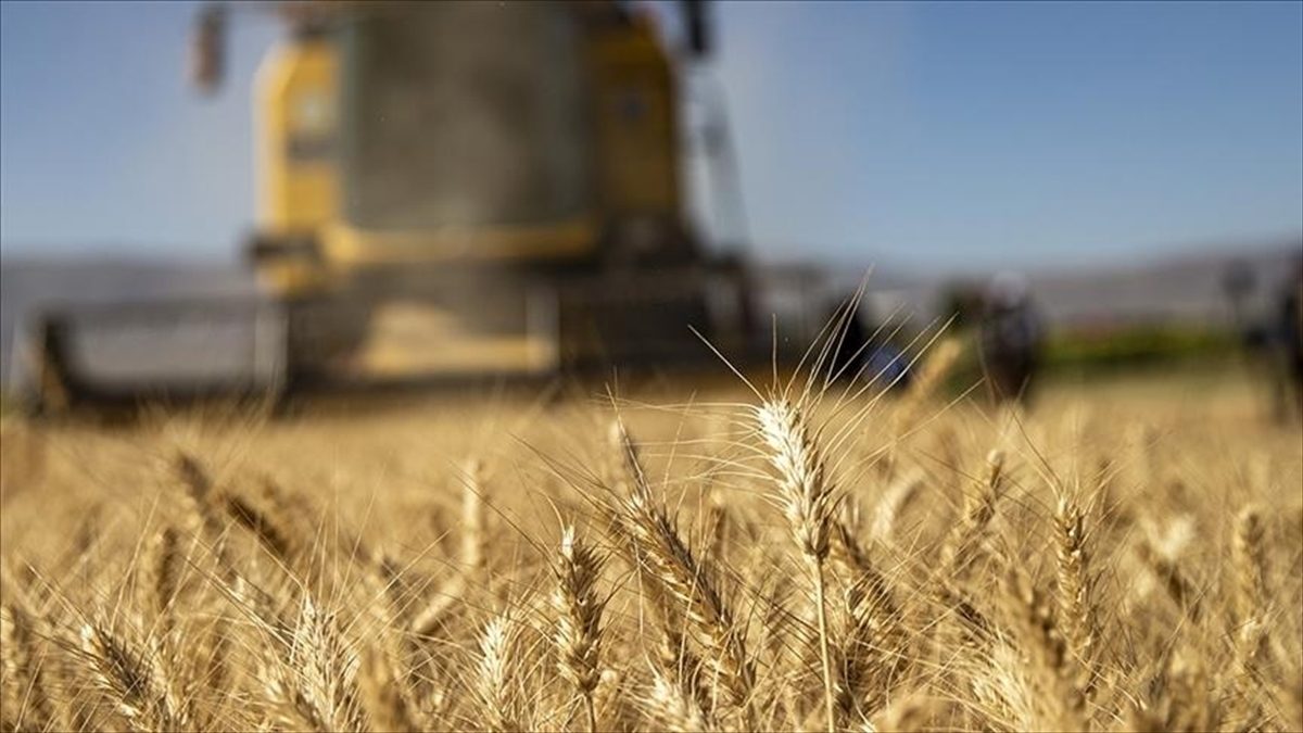 Tarımsal girdi fiyat endeksi (Tarım-GFE), şubatta aylık bazda yüzde 3,59,