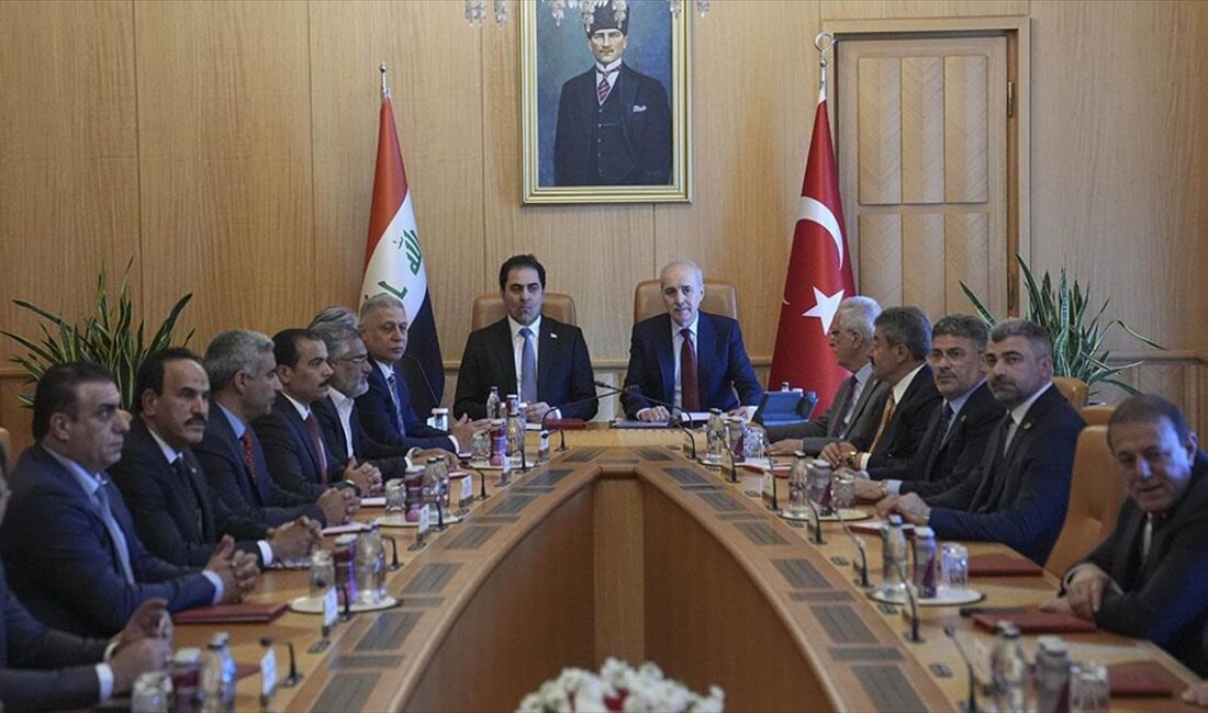 TBMM Başkanı Numan Kurtulmuş, "Asırlar boyunca Türkler, Araplar, Kürtler, Türkmenler,