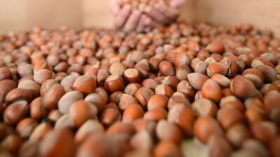 ANKARA (AA) – Toprak Mahsulleri Ofisi’nin (TMO) internet sitesinde yer