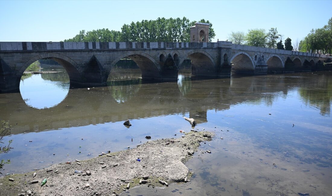 Edirne'de mevsim normallerinin üzerinde seyreden sıcaklıklar nedeniyle Tunca Nehri'nin debisi