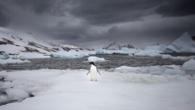 Türk bilim insanları, Antarktika'daki çalışmalarında uyguladıkları kurallarla, küresel iklim değişikliğinin