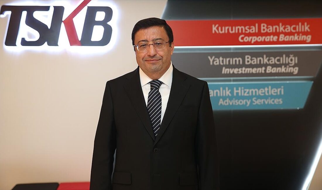 Türkiye Sınai Kalkınma Bankası Genel Müdürü Murat Bilgiç, "Yıl sonuna