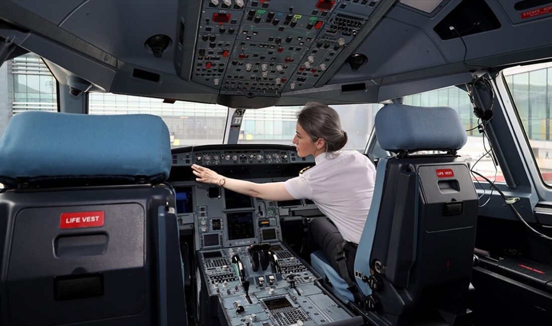 Türkiye'de geçen yılın sonu itibarıyla istihdam edilen pilot sayısı, bir