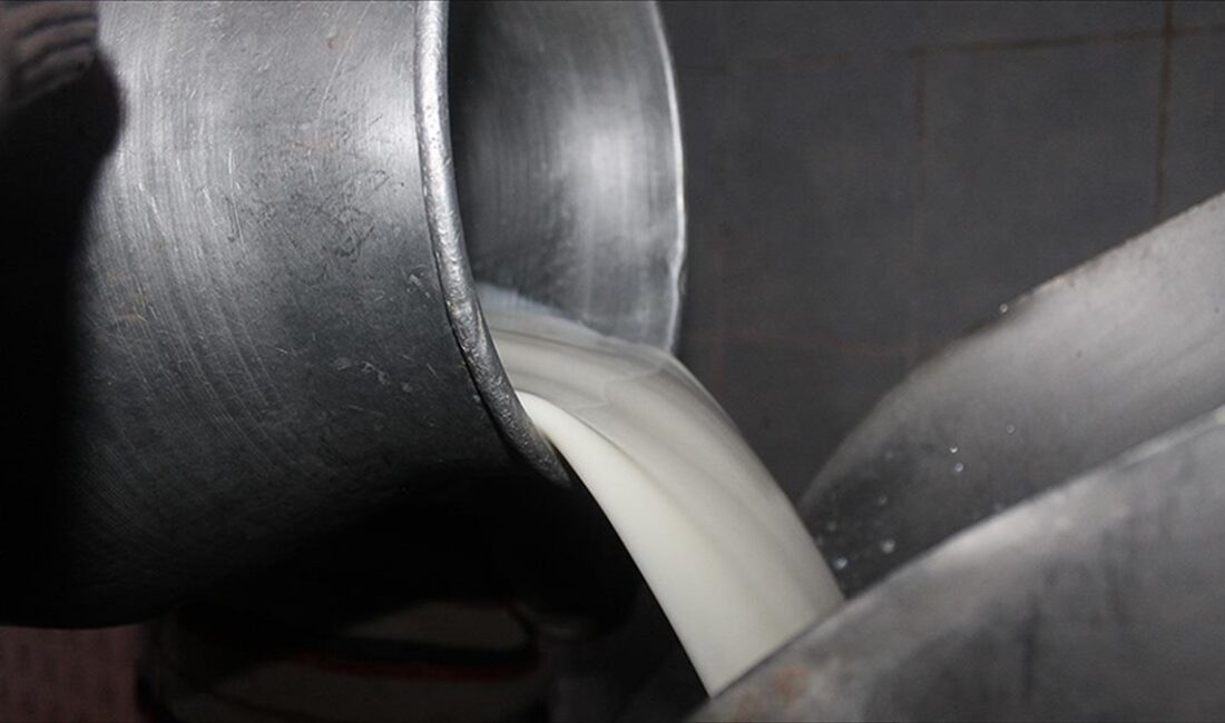 Ulusal Süt Konseyi (USK), çiğ süt tavsiye fiyatının 1 Mayıs'tan