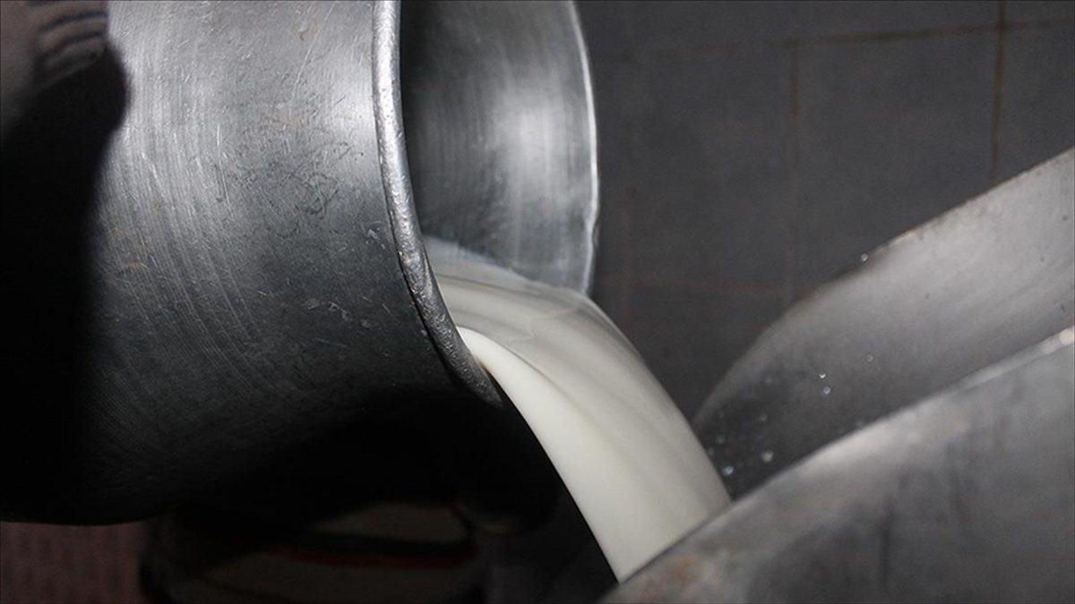 Ulusal Süt Konseyi (USK), çiğ süt tavsiye fiyatının 1 Mayıs'tan