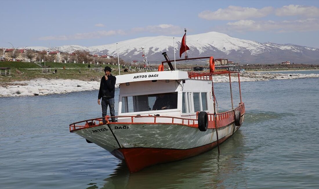 Van Gölü'nde yaşayan inci kefalinin neslinin korunması için uygulanan 90