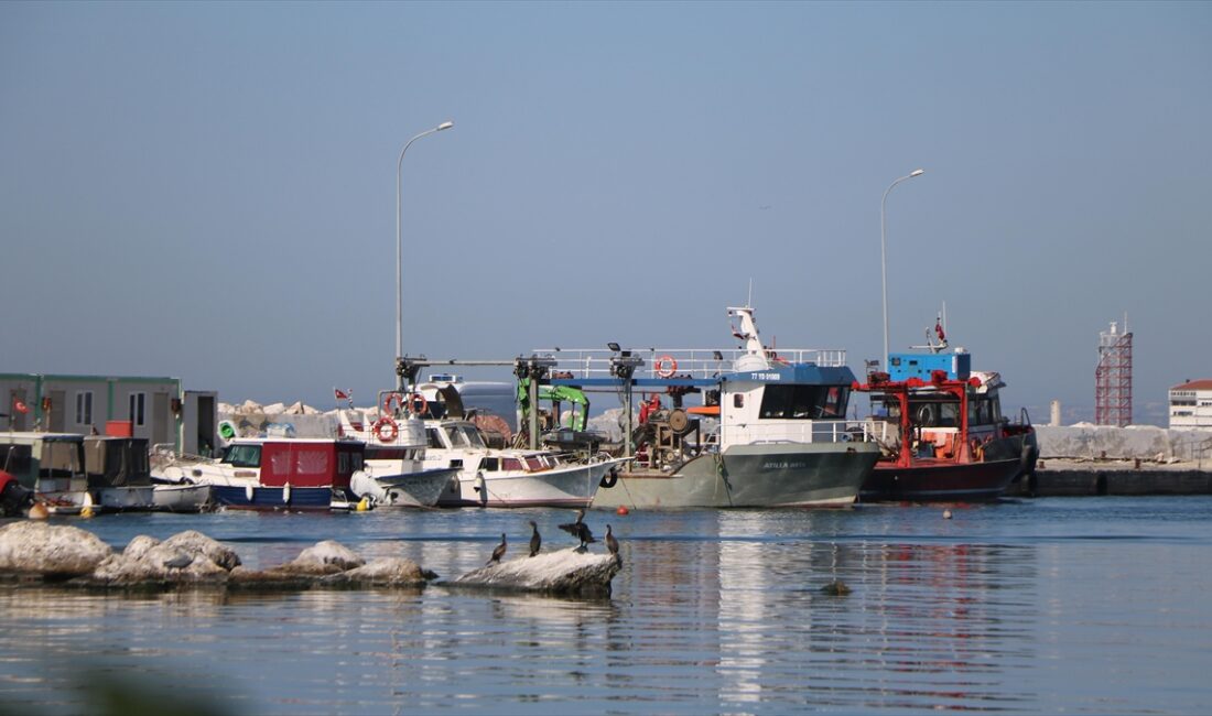 YALOVA (AA) – Tarım ve Orman Bakanlığınca ekosistemin korunması amacıyla