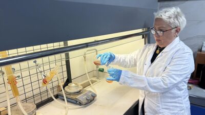 Zonguldak Bülent Ecevit Üniversitesi (BEÜ) ve İstanbul Medipol Üniversitesi akademisyenlerinin,