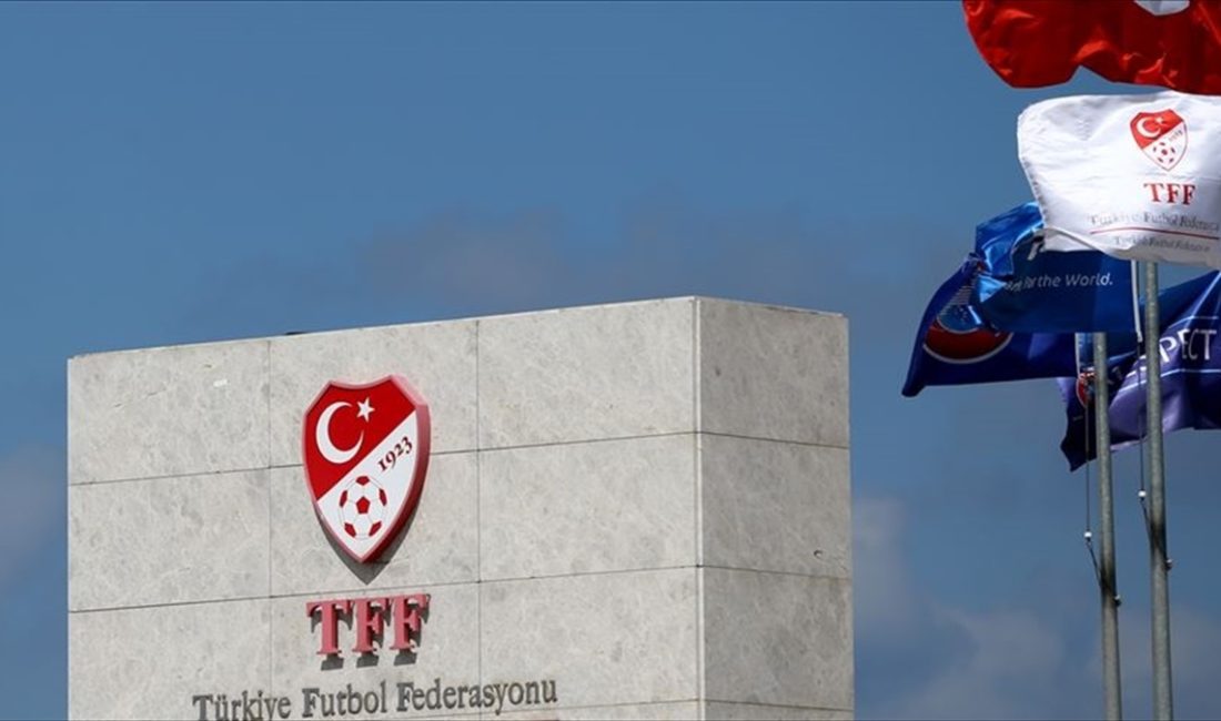 Türkiye Futbol Federasyonu (TFF) Hukuk Müşavirliği, Fenerbahçe Kulübü Başkanı Ali
