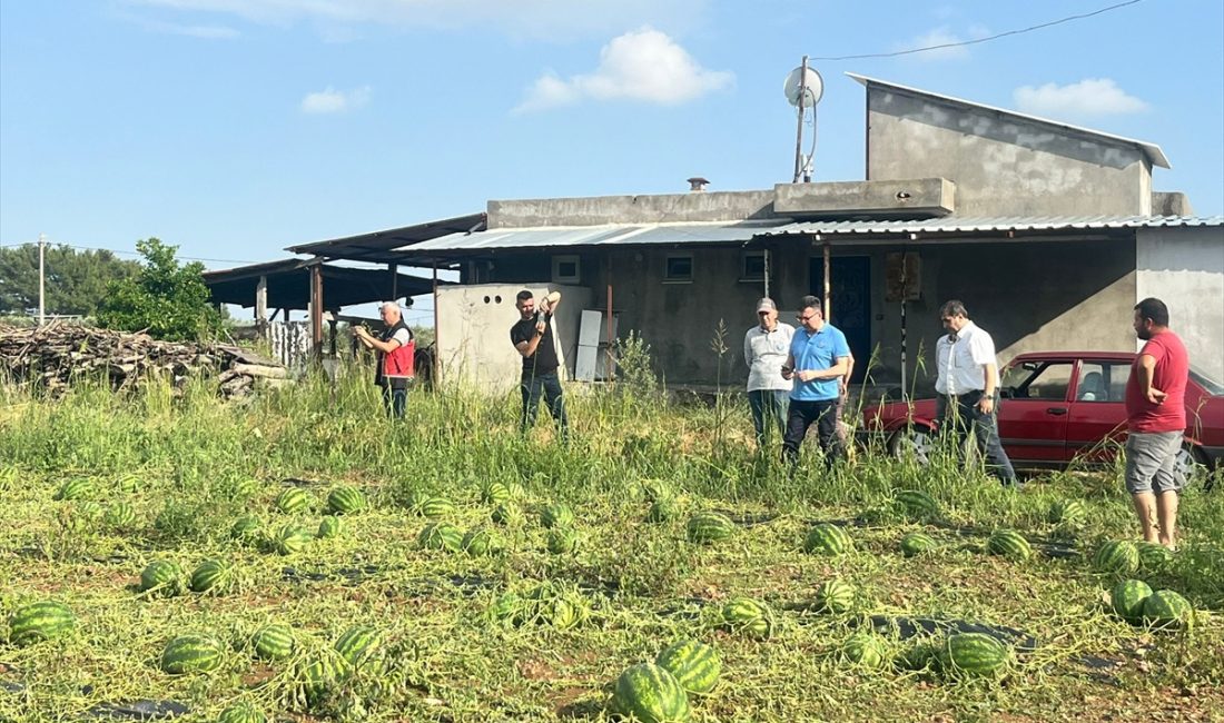 ANTALYA (AA) – Antalya'nın Serik ilçesinde, dolu yağışı nedeniyle açık