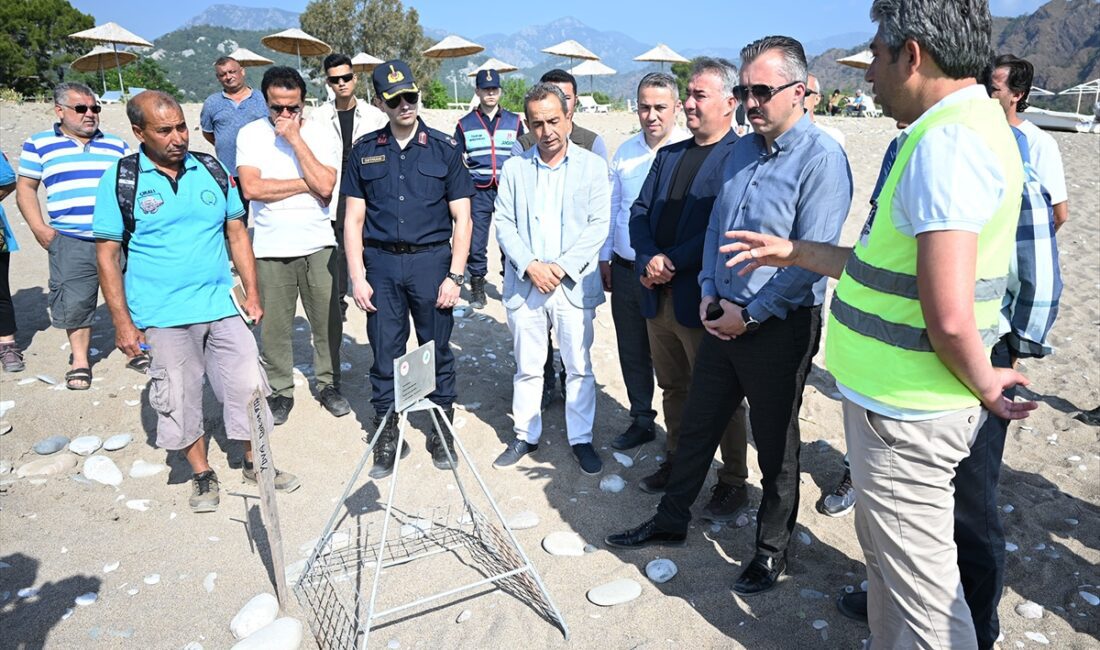 ANTALYA (AA) – Antalya'nın Kemer ilçesindeki Çıralı sahiline nesli tükenme
