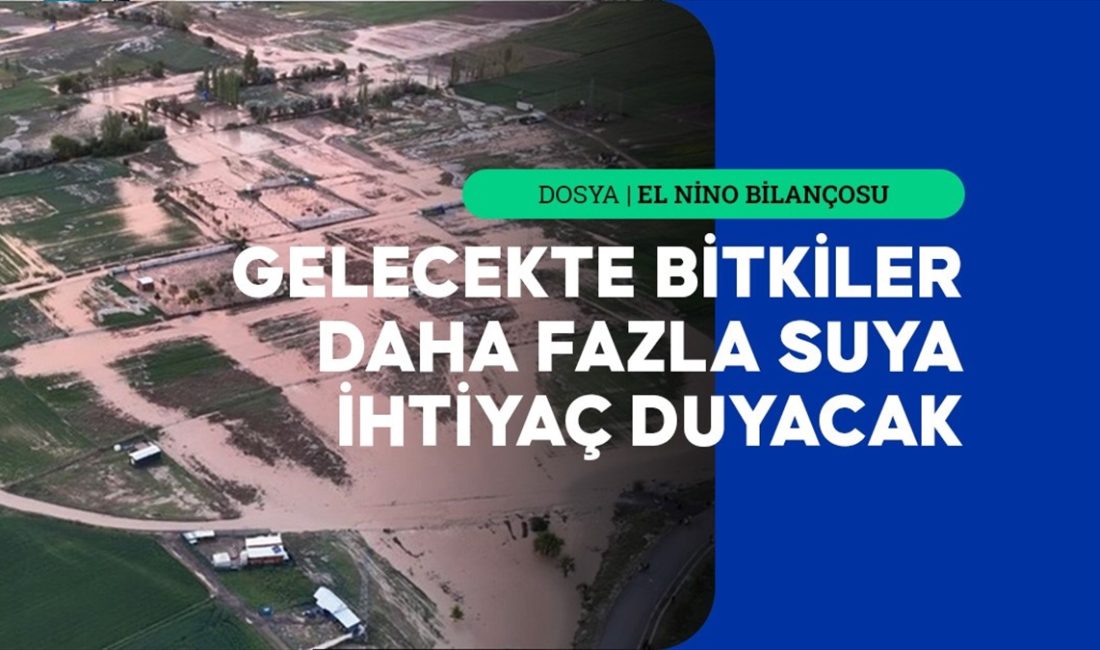 İklim değişikliği ile birleşen El Nino'nun yol açtığı sıcaklık artışları,