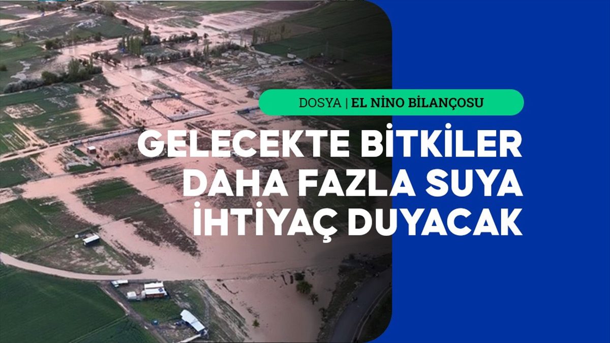 İklim değişikliği ile birleşen El Nino'nun yol açtığı sıcaklık artışları,
