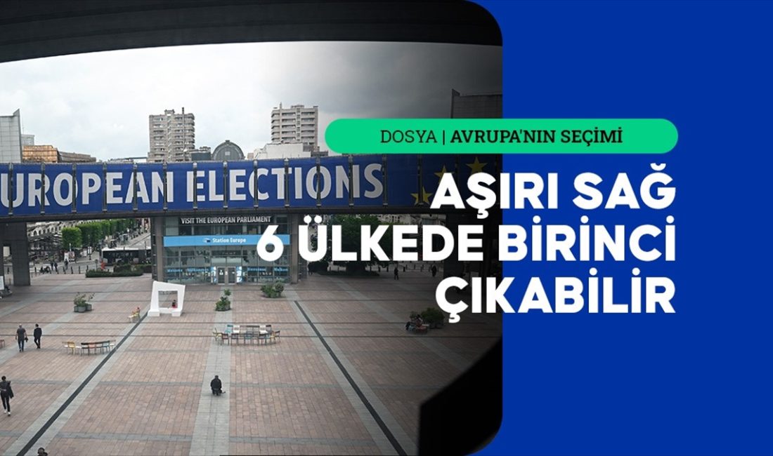 Avrupa Parlamentosu (AP) seçimlerine sayılı günler kala anketler, Avrupa ülkelerinde