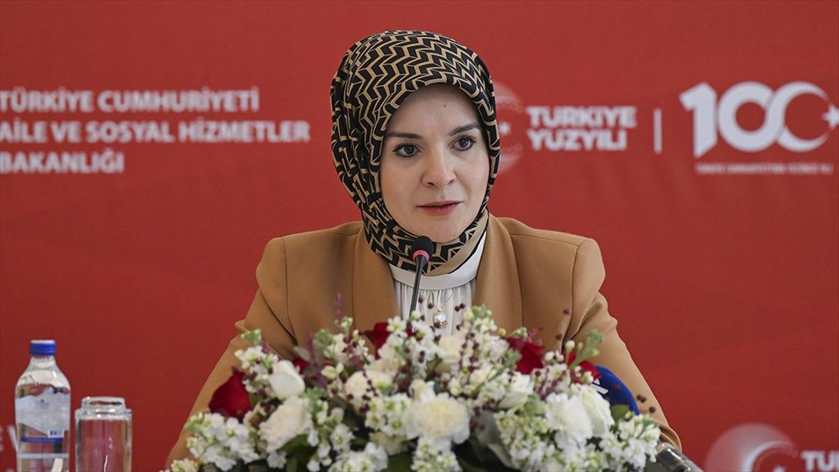 Aile ve Sosyal Hizmetler Bakanı Mahinur Özdemir Göktaş, "2002'den bugüne