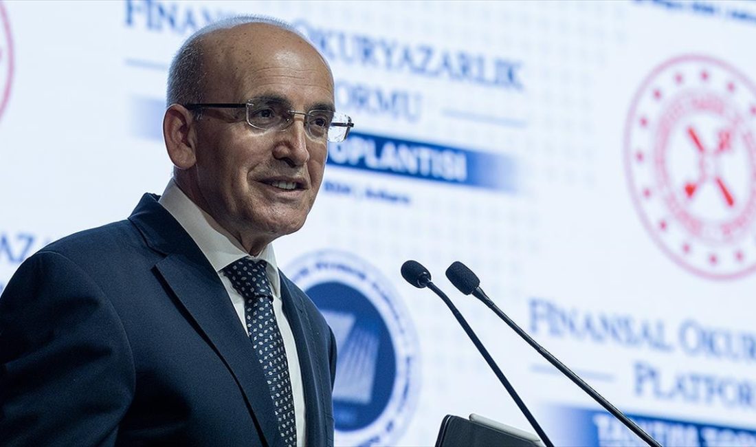 Hazine ve Maliye Bakanı Şimşek, "Birileri size çok yüksek getiri