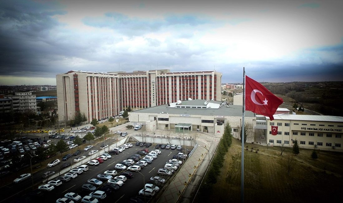 Prof. Dr. Erhan Tabakoğlu, "2023'te 3 bin 92 uluslararası hasta