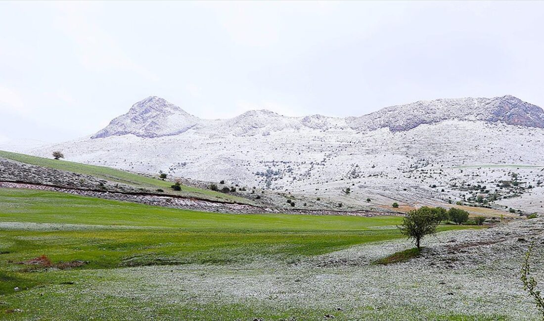 BAYBURT (AA) – Hava sıcaklıklarının mevsim normalleri altına düştüğü Bayburt’ta