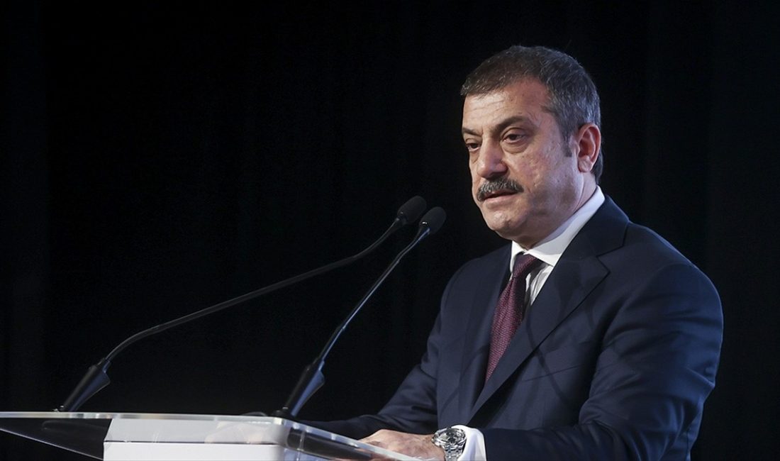 BDDK Başkanı Şahap Kavcıoğlu, "Türkiye ile Arap dünyası arasındaki derin