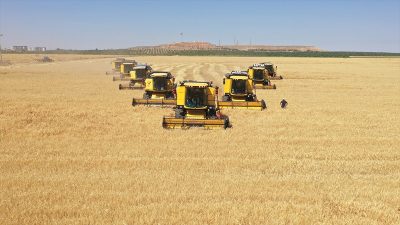 Yaklaşık 88 bin futbol sahası büyüklüğündeki alanda 229 biçerdöver, 128