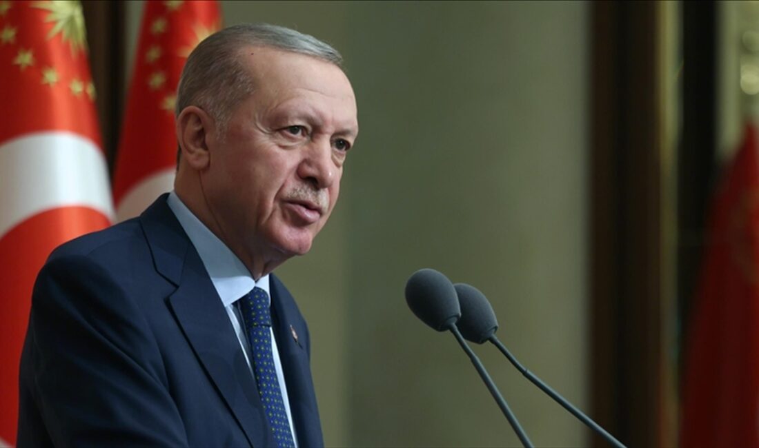 Cumhurbaşkanı Recep Tayyip Erdoğan, "Sağa sola insan hakları karnesi düzenleyenler,