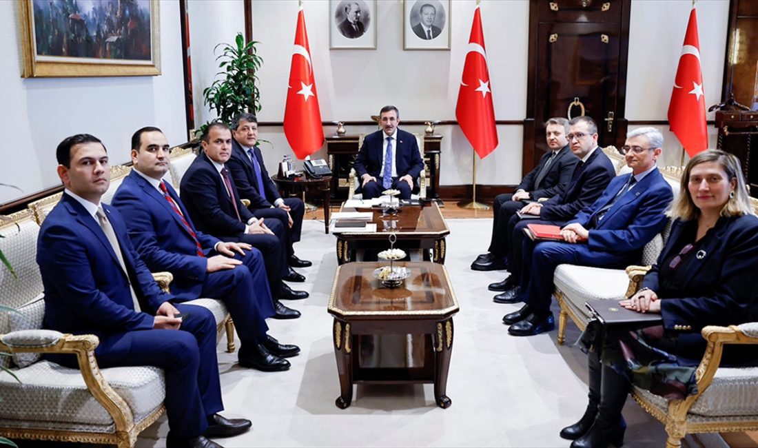 Cumhurbaşkanı Yardımcısı Cevdet Yılmaz, Tacikistan Sanayi ve Yeni Teknolojiler Bakanı