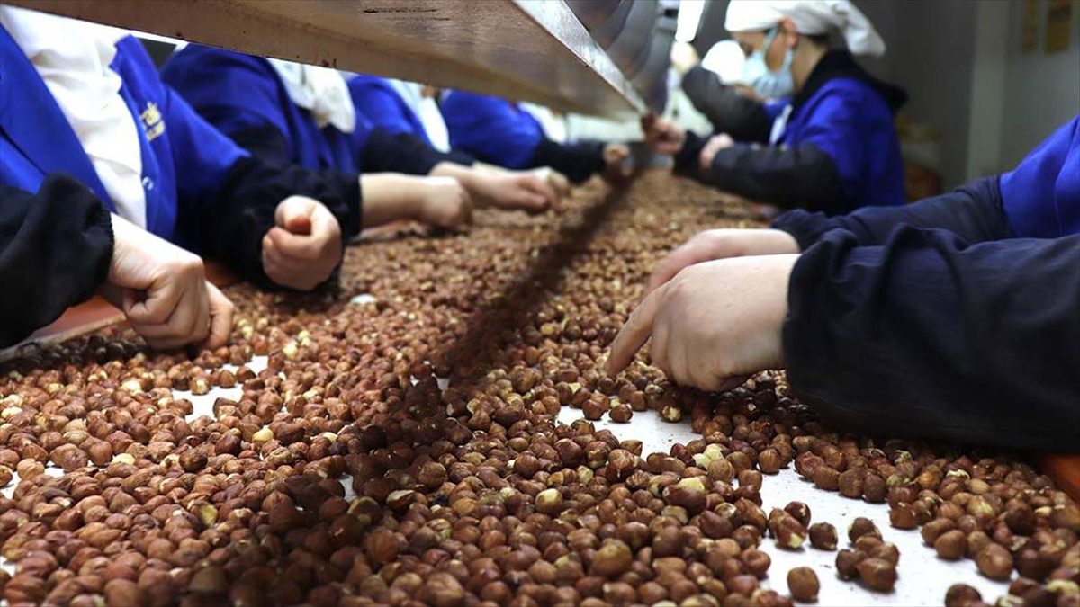 Trabzon, Rize, Artvin ve Gümüşhane'den 2024'ün ocak-nisan döneminde yapılan ihracat