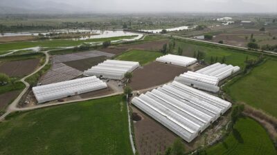 Jeotermal kaynakları, verimli toprakları, ve mikroklima özelliği ile seracılıkta her