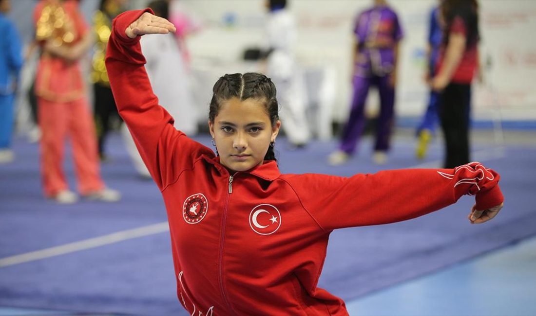 Avrupa, Balkan ve dünya şampiyonalarında çeşitli dereceler elde eden genç
