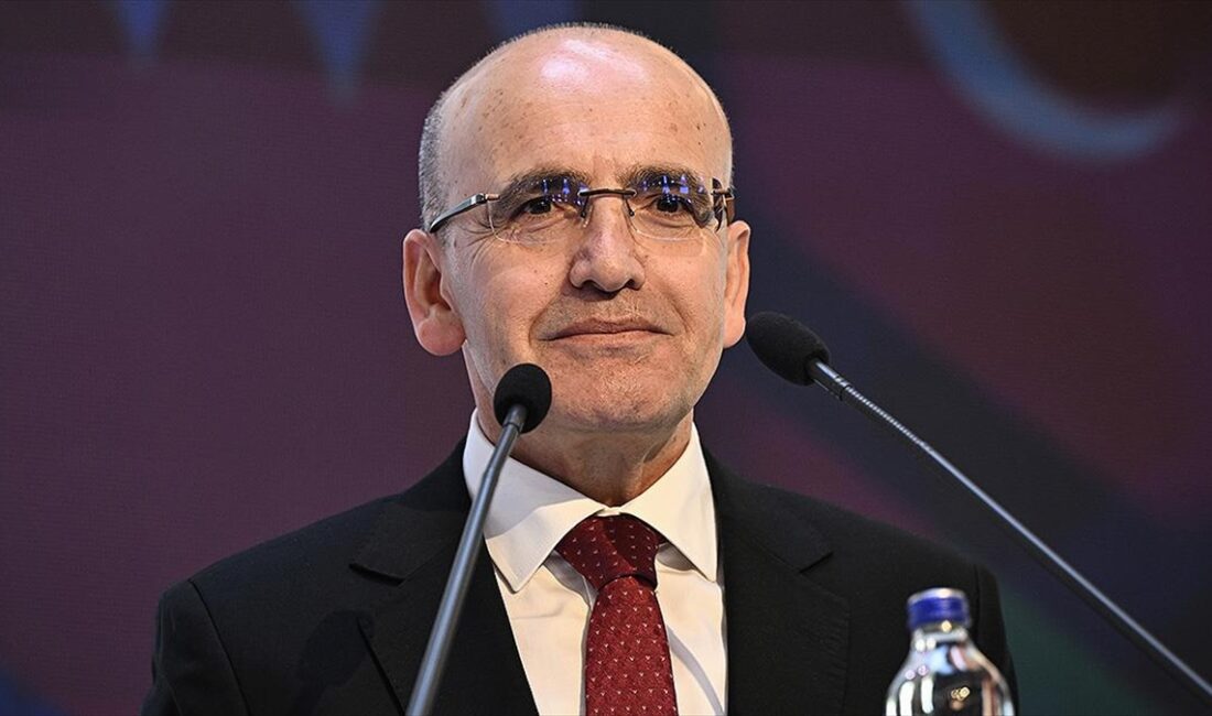 Hazine ve Maliye Bakanı Mehmet Şimşek, "Türkiye Kalkınma Fonu bünyesinde