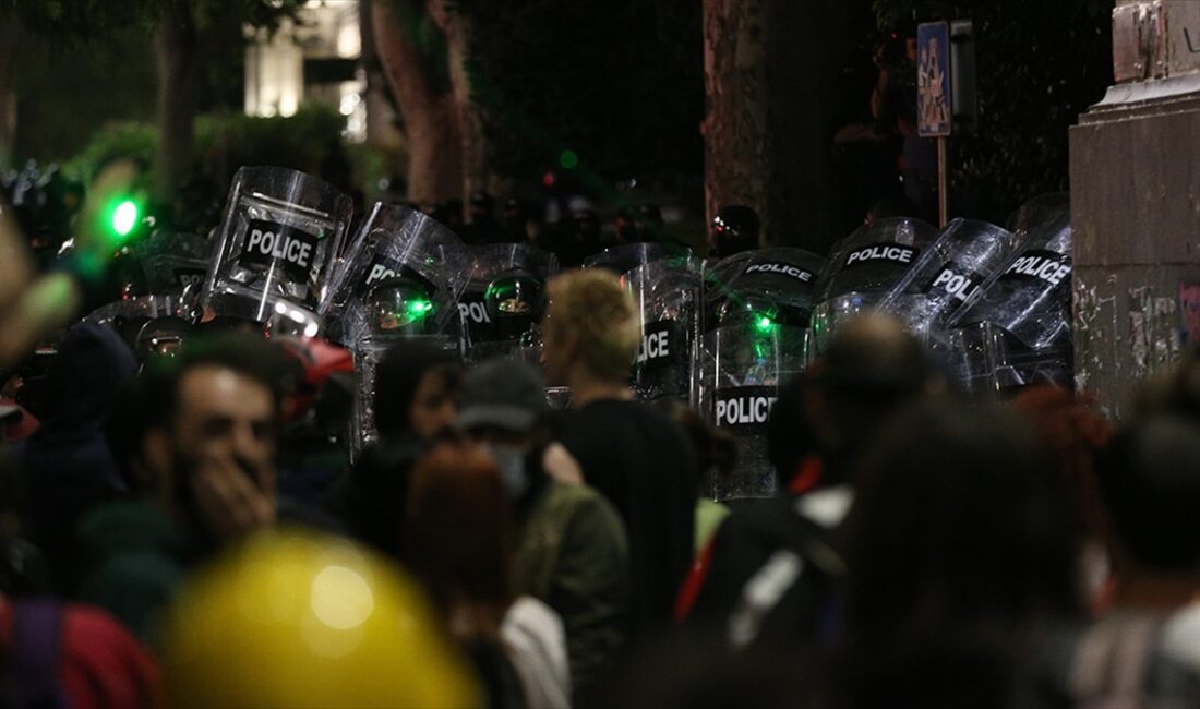 Gürcistan'da, "yabancı etkinin şeffaflığı" konulu yasa tasarısını protesto gösterisinde 63