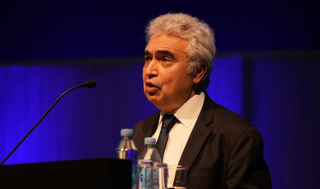 Uluslararası Enerji Ajansı (IEA) Başkanı Fatih Birol, "Müzakerelerin, gelişmekte olan
