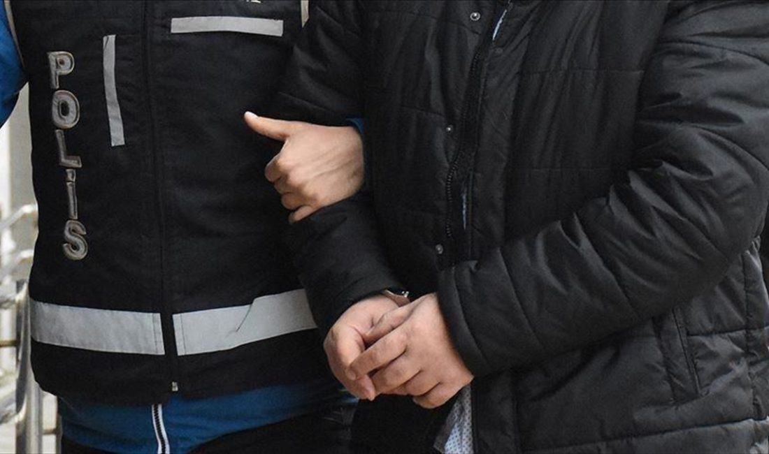 Cep telefonuyla görüntülenen olayda kedinin ölmesi ve çevredekilerin tepki göstermesi
