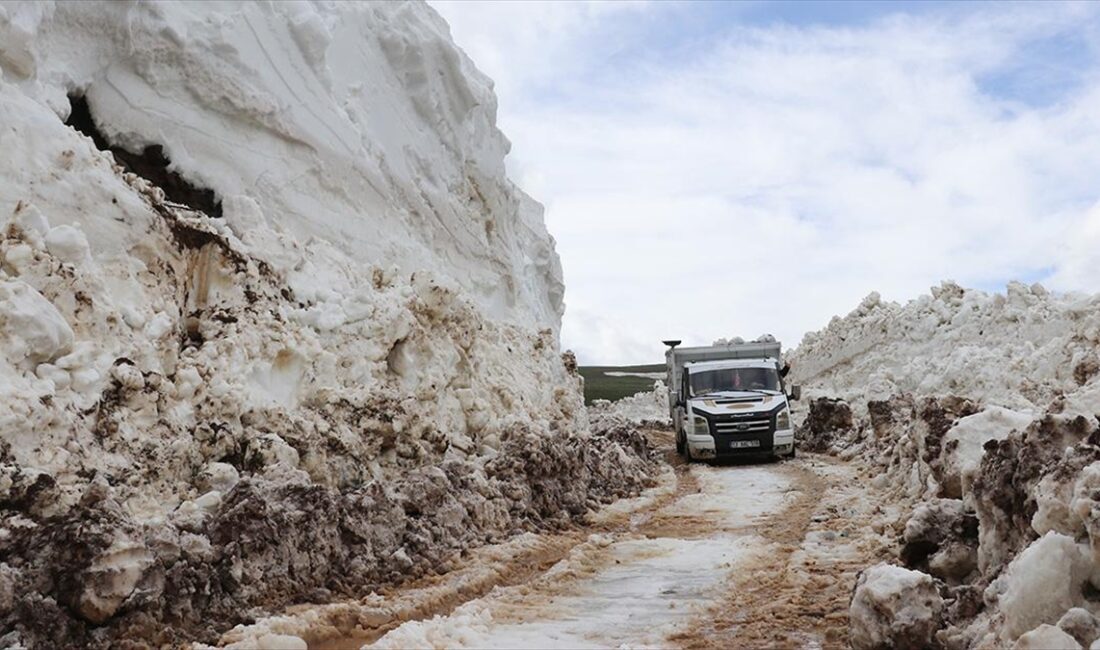 Ağrı'nın Taşlıçay ilçesinde zorlu coğrafya şartları nedeniyle kışın ulaşımın sağlanamadığı