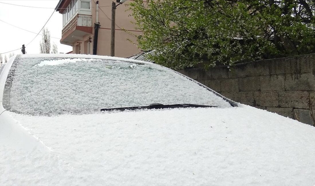 KARS (AA) – Sabah saatlerinde başlayan ve aralıklarla devam eden
