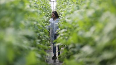 Tarım ve Orman Bakanlığınca sağlanan desteklerden faydalanmak isteyen üreticilerin kayıtlı