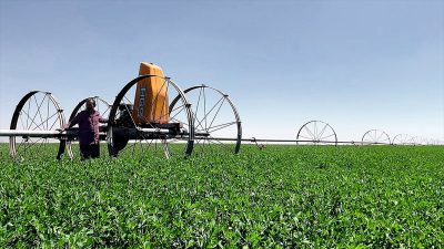 Tarım ve Orman Bakanlığı tarafından kırsalda gelir düzeyinin artırılması amacıyla